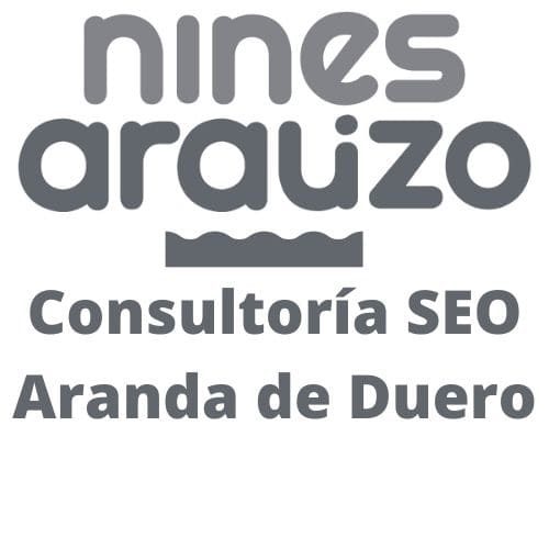 ConsultoriaSeo Aranda Logo Gris